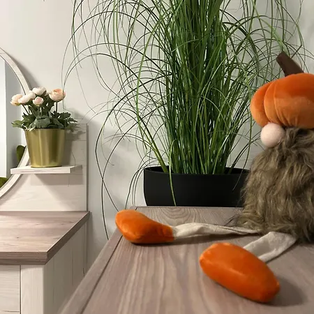 Moments Apartment